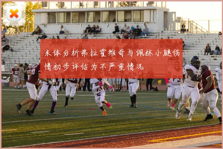 米体分析弗拉霍维奇与佩林小腿伤情初步评估为不严重情况